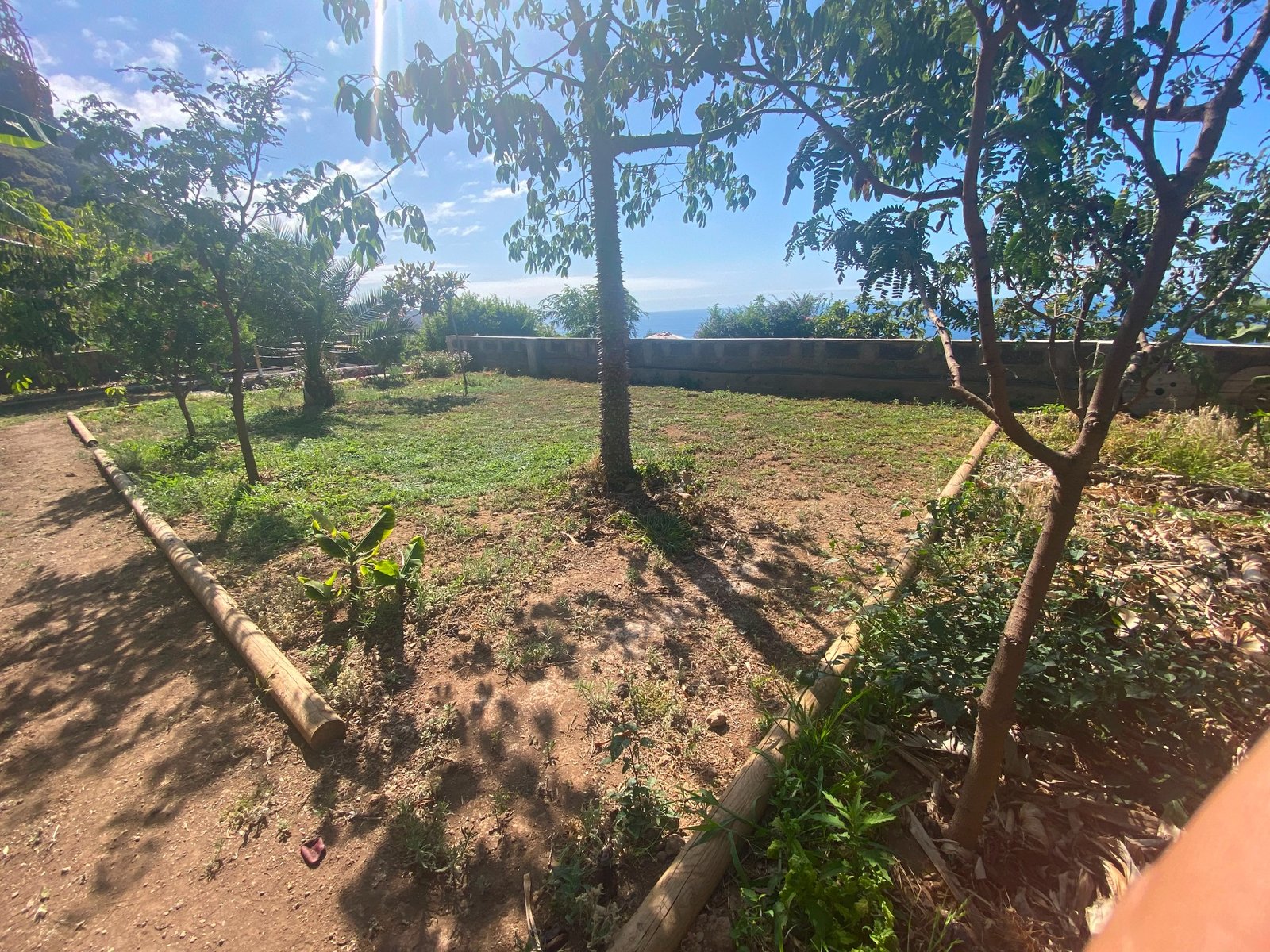 Jardín del taller
